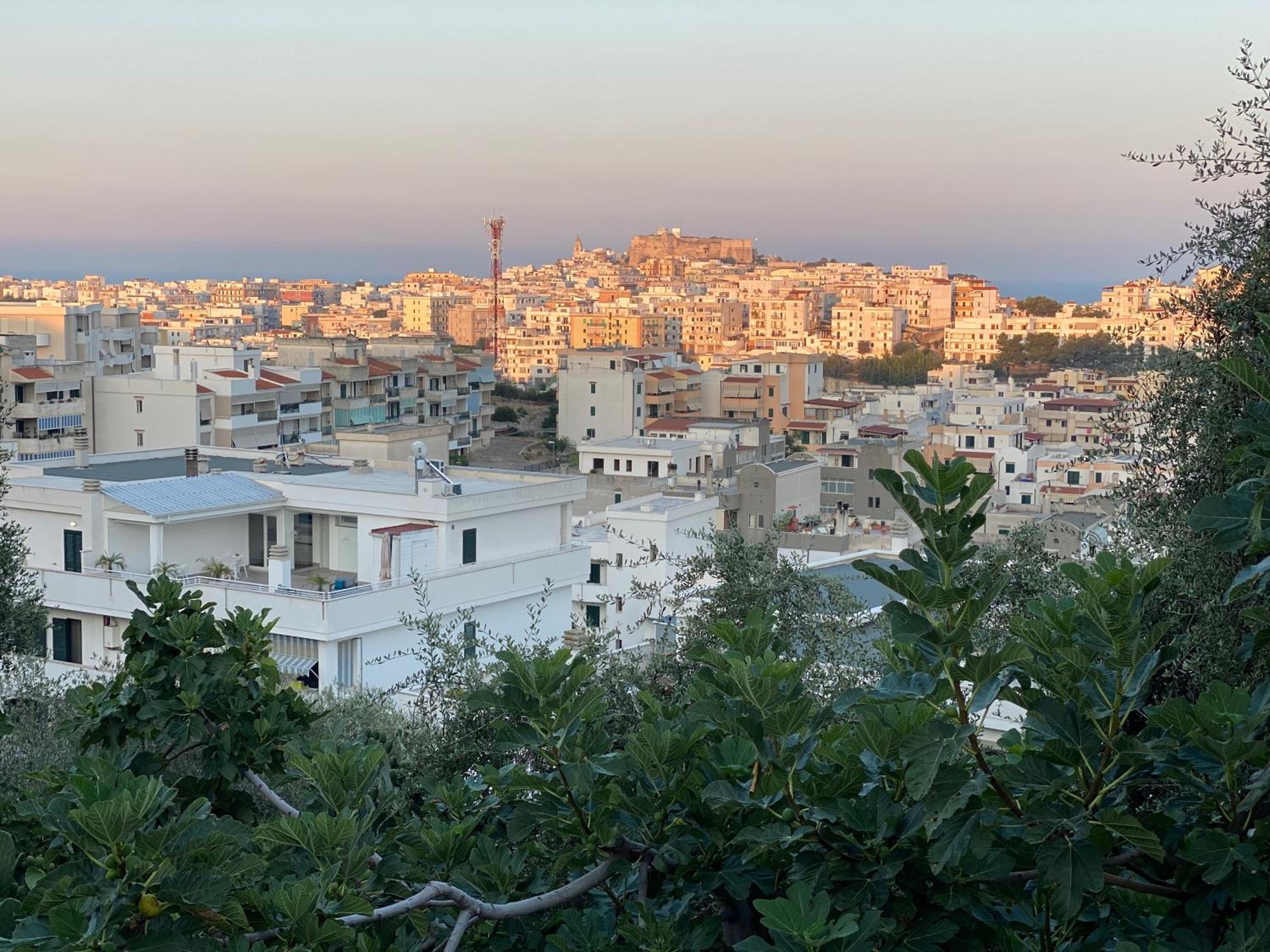 ויאסטה Coliving Together Gargano מראה חיצוני תמונה