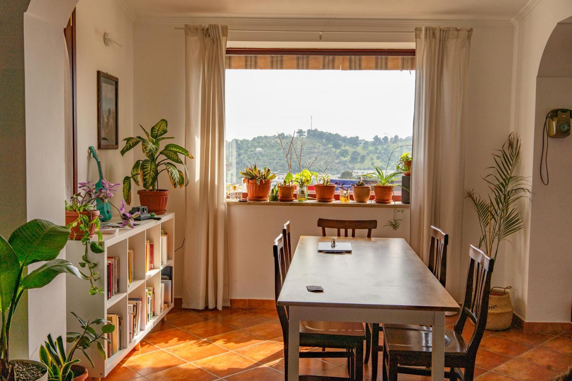 ויאסטה Coliving Together Gargano מראה חיצוני תמונה