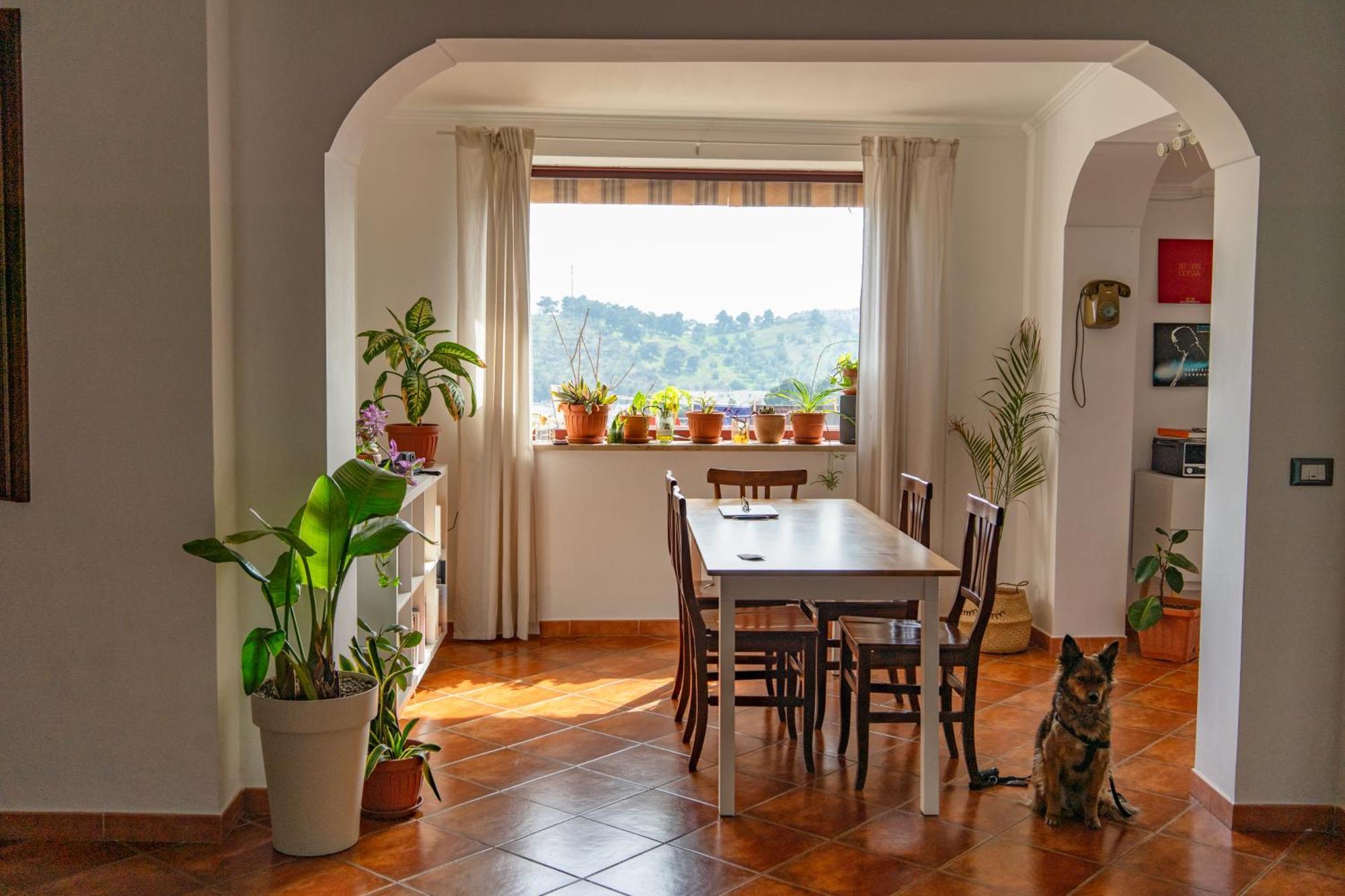 ויאסטה Coliving Together Gargano מראה חיצוני תמונה